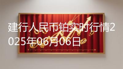 建行人民币铂实时行情2025年06月06日