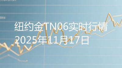 纽约金TN06实时行情2025年11月17日