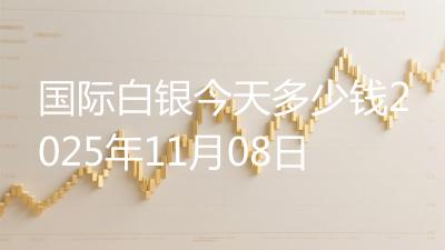 国际白银今天多少钱2025年11月08日
