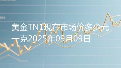 黄金TN1现在市场价多少元一克2025年09月09日