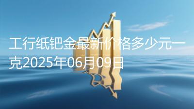 工行纸钯金最新价格多少元一克2025年06月09日