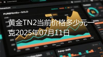 黄金TN2当前价格多少元一克2025年07月11日