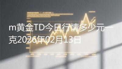 m黄金TD今日行情多少元一克2026年02月13日