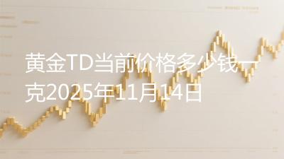 黄金TD当前价格多少钱一克2025年11月14日