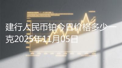 建行人民币铂今日价格多少一克2025年11月05日