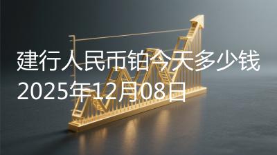 建行人民币铂今天多少钱2025年12月08日