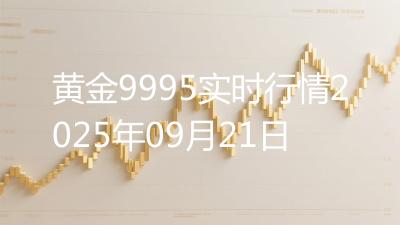 黄金9995实时行情2025年09月21日