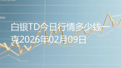 白银TD今日行情多少钱一克2026年02月09日