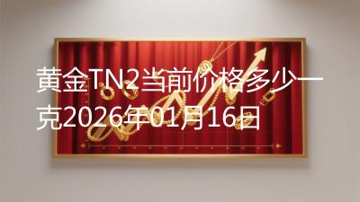 黄金TN2当前价格多少一克2026年01月16日