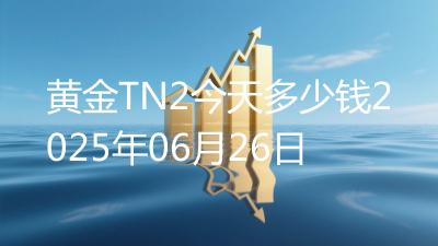 黄金TN2今天多少钱2025年06月26日