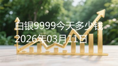 白银9999今天多少钱2026年03月11日