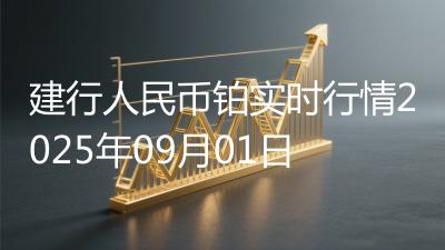 建行人民币铂实时行情2025年09月01日