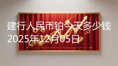 建行人民币铂今天多少钱2025年12月05日