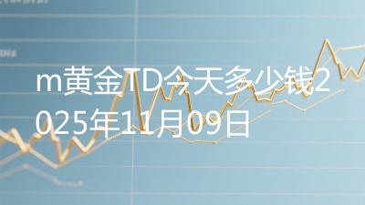 m黄金TD今天多少钱2025年11月09日