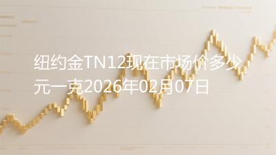 纽约金TN12现在市场价多少元一克2026年02月07日