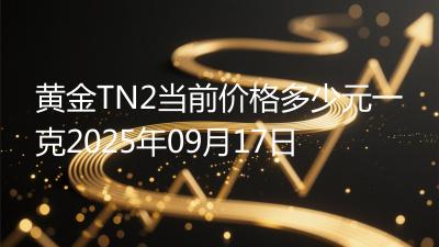 黄金TN2当前价格多少元一克2025年09月17日