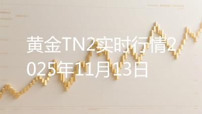 黄金TN2实时行情2025年11月13日