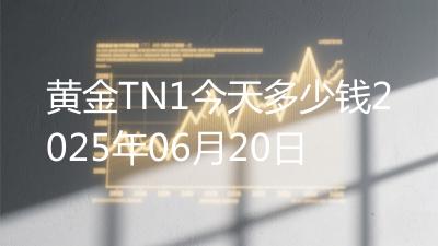 黄金TN1今天多少钱2025年06月20日