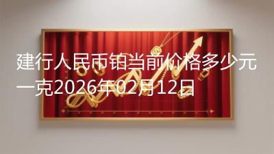 建行人民币铂当前价格多少元一克2026年02月12日