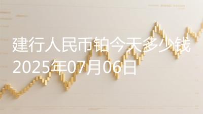 建行人民币铂今天多少钱2025年07月06日