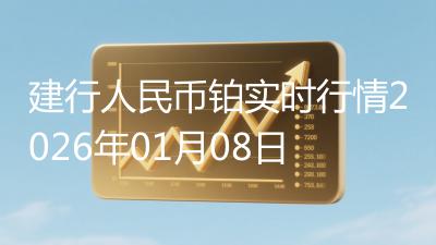 建行人民币铂实时行情2026年01月08日