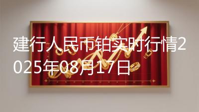 建行人民币铂实时行情2025年08月17日