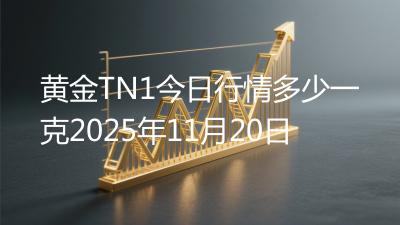 黄金TN1今日行情多少一克2025年11月20日