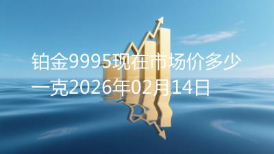 铂金9995现在市场价多少一克2026年02月14日