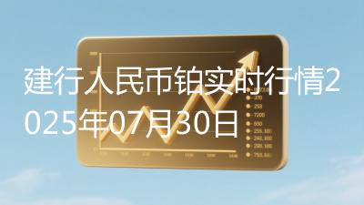 建行人民币铂实时行情2025年07月30日