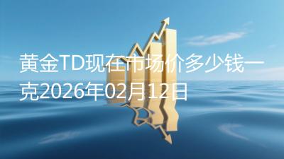 黄金TD现在市场价多少钱一克2026年02月12日