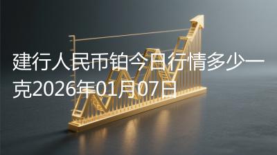 建行人民币铂今日行情多少一克2026年01月07日