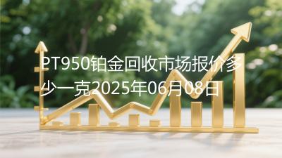 PT950铂金回收市场报价多少一克2025年06月08日