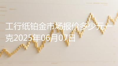 工行纸铂金市场报价多少元一克2025年06月07日