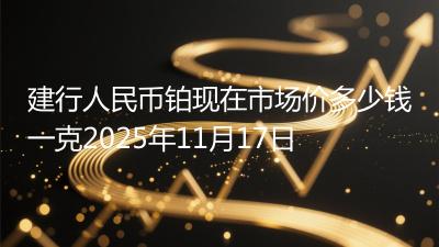 建行人民币铂现在市场价多少钱一克2025年11月17日