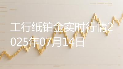 工行纸铂金实时行情2025年07月14日