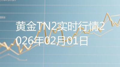 黄金TN2实时行情2026年02月01日