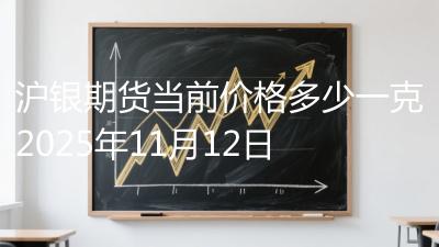 沪银期货当前价格多少一克2025年11月12日