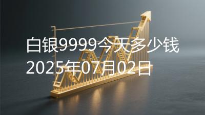 白银9999今天多少钱2025年07月02日