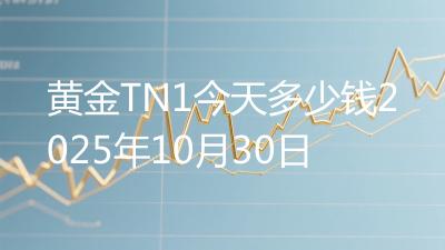 黄金TN1今天多少钱2025年10月30日