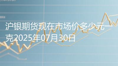 沪银期货现在市场价多少元一克2025年07月30日