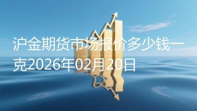 沪金期货市场报价多少钱一克2026年02月20日