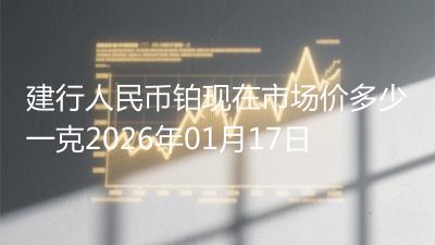 建行人民币铂现在市场价多少一克2026年01月17日