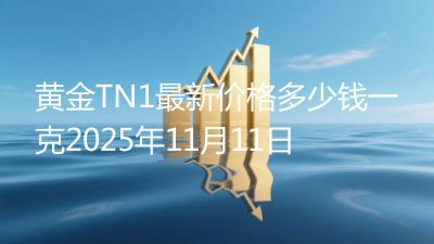黄金TN1最新价格多少钱一克2025年11月11日