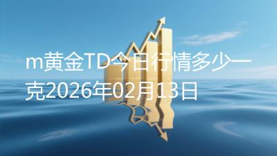 m黄金TD今日行情多少一克2026年02月13日