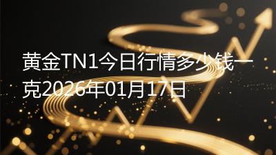 黄金TN1今日行情多少钱一克2026年01月17日