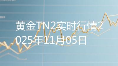 黄金TN2实时行情2025年11月05日