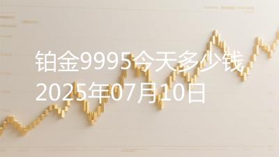 铂金9995今天多少钱2025年07月10日