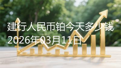 建行人民币铂今天多少钱2026年03月11日