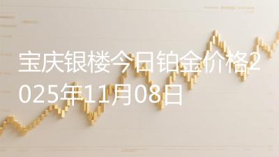 宝庆银楼今日铂金价格2025年11月08日