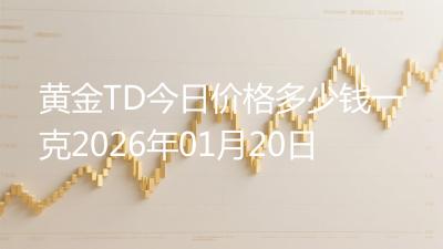 黄金TD今日价格多少钱一克2026年01月20日